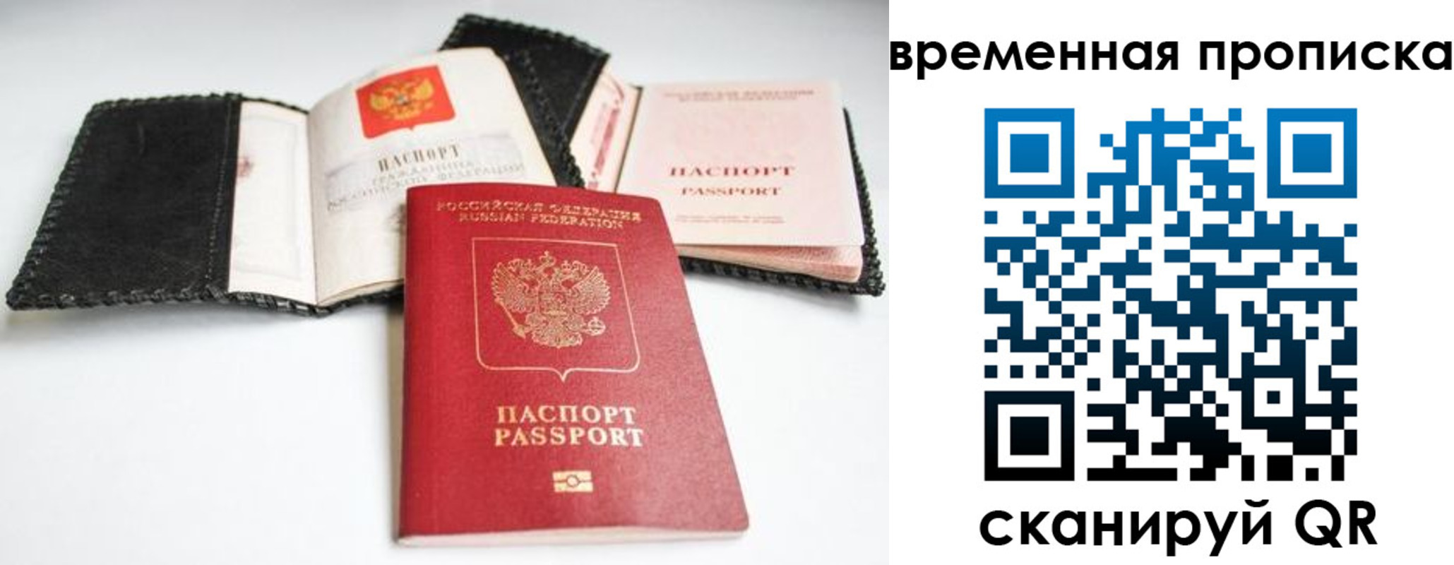 прописка для школы в Новом Осколе